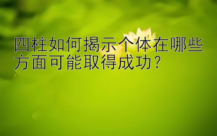 四柱如何揭示个体在哪些方面可能取得成功？