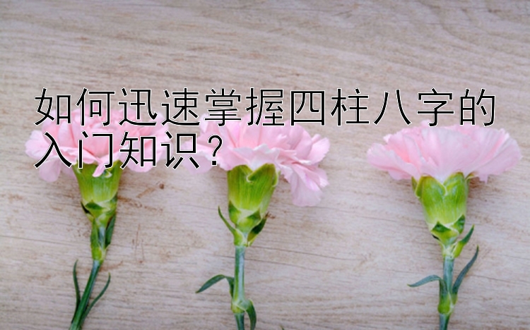 如何迅速掌握四柱八字的入门知识？