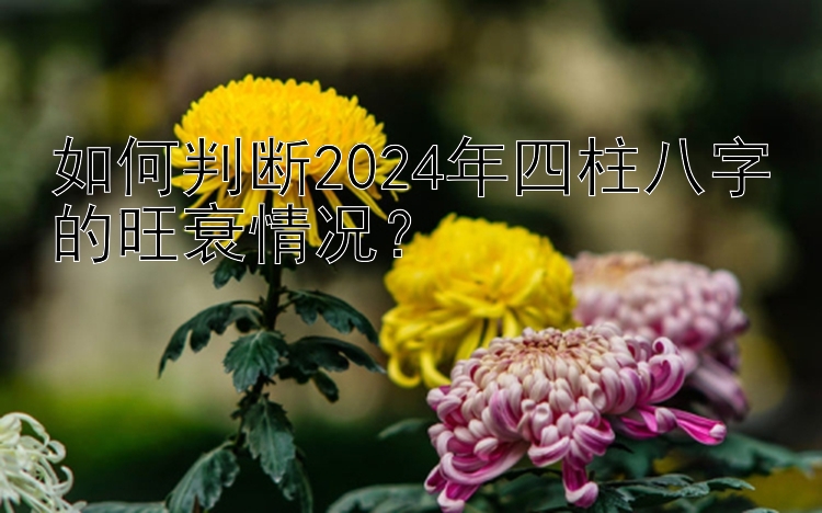 如何判断2024年四柱八字的旺衰情况？