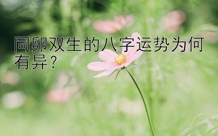 同卵双生的八字运势为何有异？