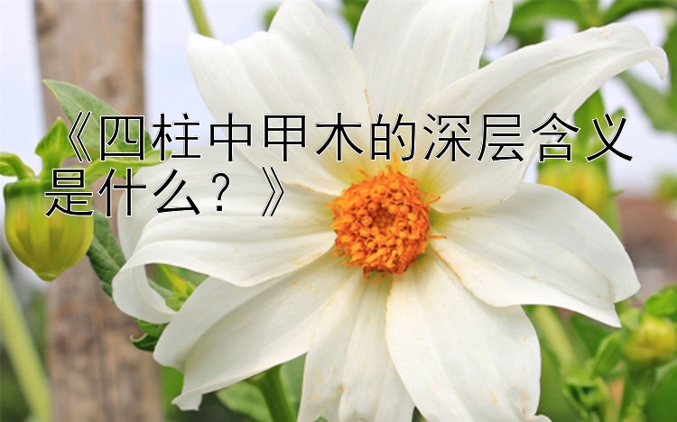 《四柱中甲木的深层含义是什么？》