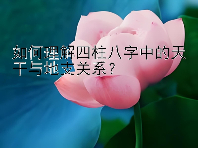 如何理解四柱八字中的天干与地支关系？