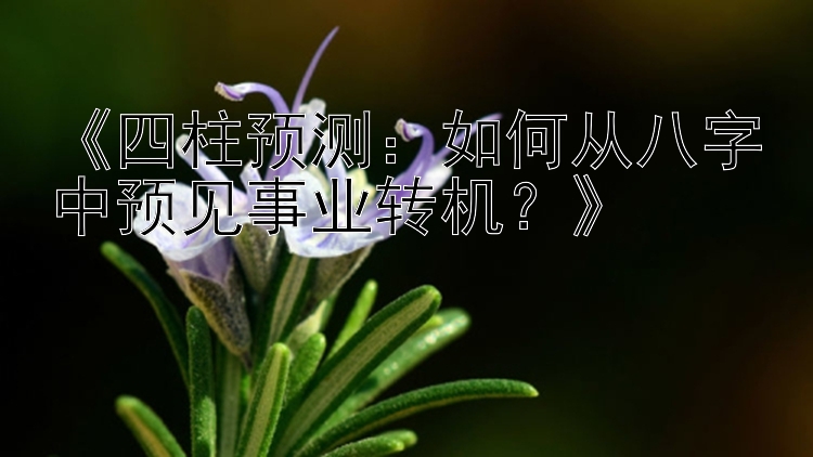 《四柱预测：如何从八字中预见事业转机？》