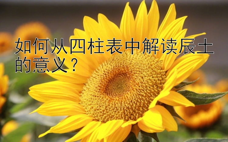 如何从四柱表中解读辰土的意义？