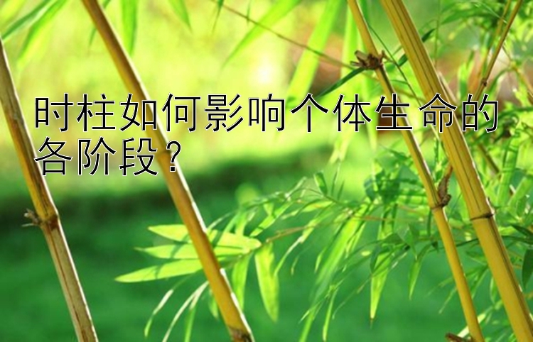 时柱如何影响个体生命的各阶段？