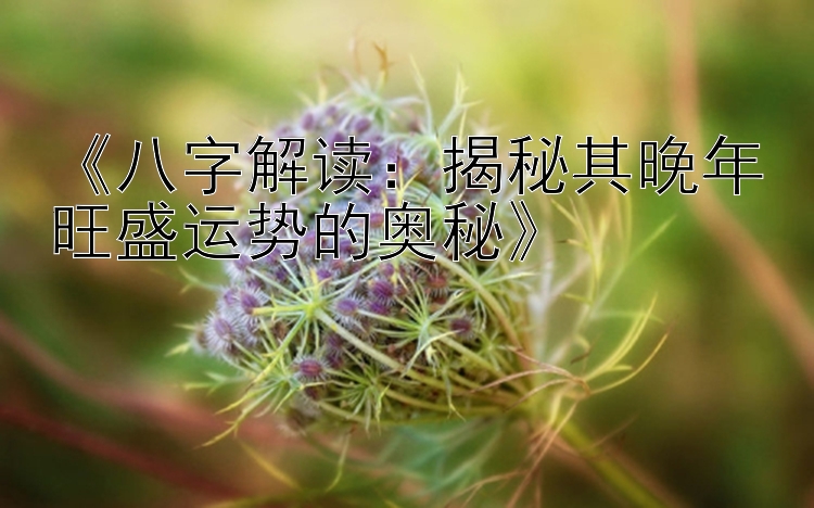 《八字解读：揭秘其晚年旺盛运势的奥秘》