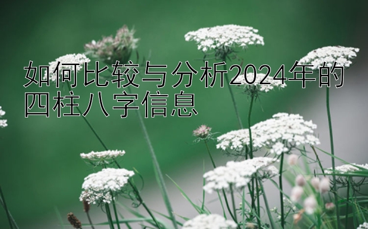 如何比较与分析2024年的四柱八字信息