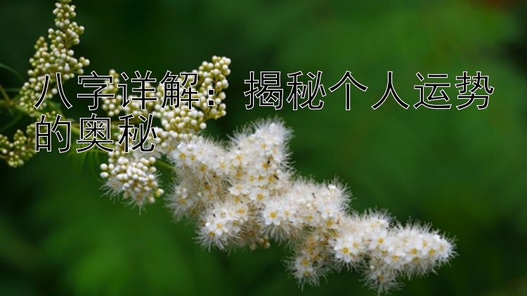 八字详解：揭秘个人运势的奥秘