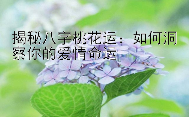 揭秘八字桃花运：如何洞察你的爱情命运