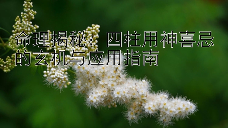 命理揭秘：四柱用神喜忌的玄机与应用指南