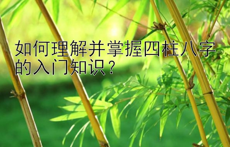 如何理解并掌握四柱八字的入门知识？