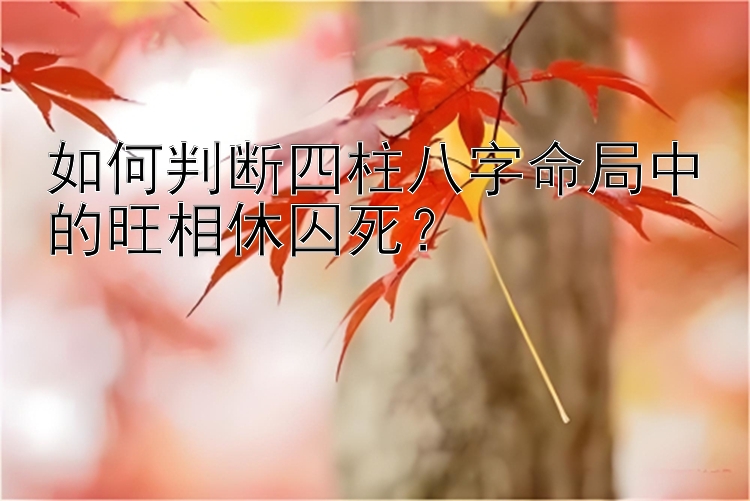 快3大小单双和值大小的技巧   如何判断四柱八字命局中的旺相休囚死？