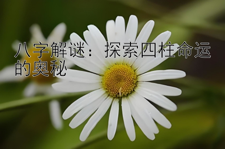 八字解谜：探索四柱命运的奥秘