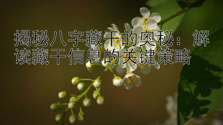 揭秘八字藏干的奥秘：解读藏干信息的关键策略