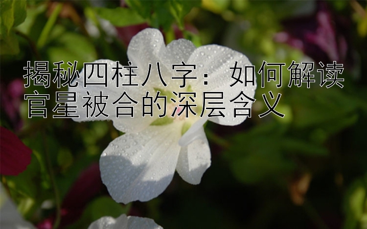 揭秘四柱八字：如何解读官星被合的深层含义