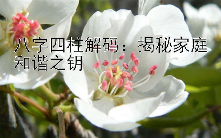 八字四柱解码：揭秘家庭和谐之钥