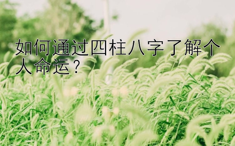 如何通过四柱八字了解个人命运？