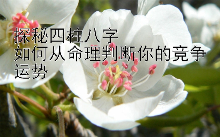 探秘四柱八字  
如何从命理判断你的竞争运势