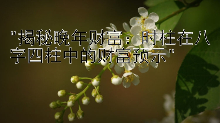 揭秘晚年财富：时柱在八字四柱中的财富预示