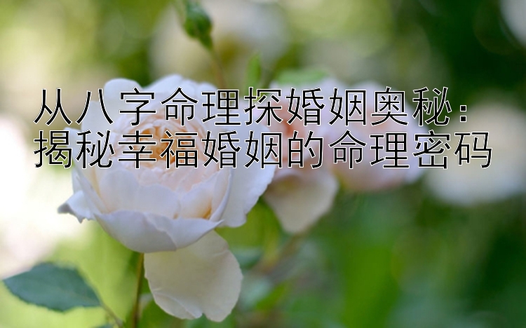 从八字命理探婚姻奥秘：揭秘幸福婚姻的命理密码