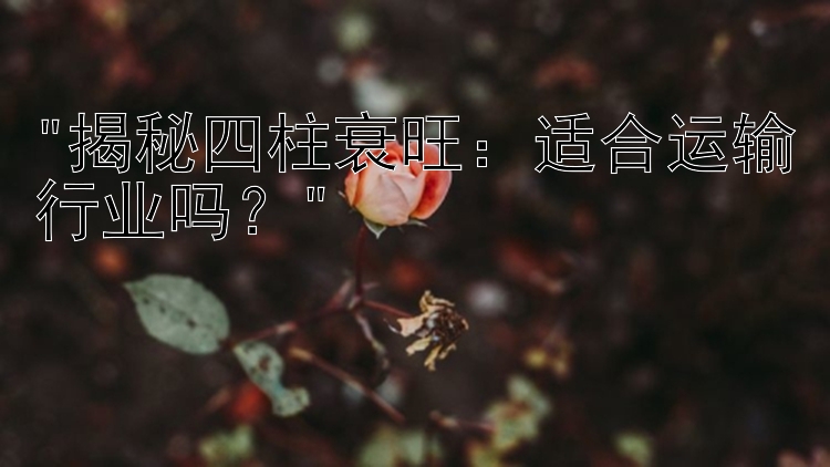 揭秘四柱衰旺：适合运输行业吗？