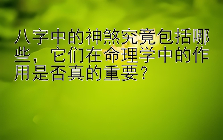 八字中的神煞究竟包括哪些，它们在命理学中的作用是否真的重要？