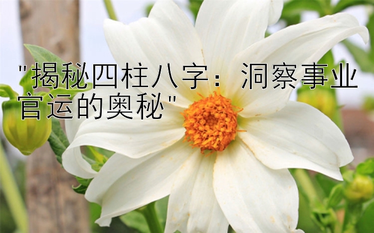 揭秘四柱八字：洞察事业官运的奥秘